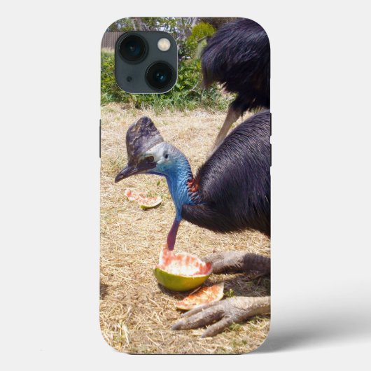 Cassowary Bird Eating Melons, iPhone 13 Coque (Verso)