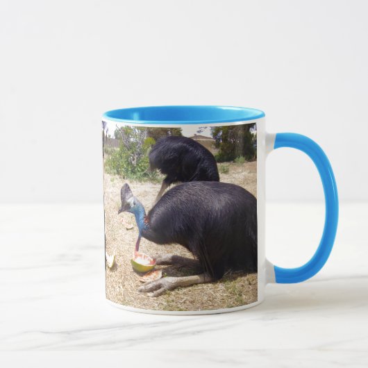 Cassowary Bird Eating Melons Mok (Rechts)
