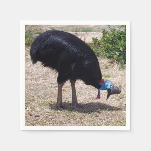 Cassowary Bird Eliminator Servet (Voorkant)