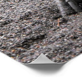 Cassowary in lente poster (Hoek)