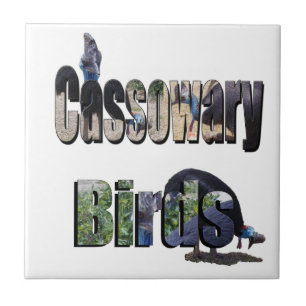 Cassowary Vogels Is De Naam, Tegeltje