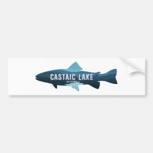 Castaic Lake California Vis Bumpersticker