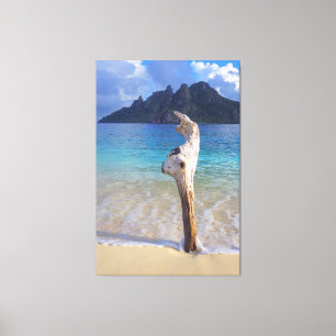 CASTAWAY HOUT 40x60 Canvas Afdruk