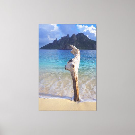 CASTAWAY HOUT 40x60 Canvas Afdruk (Voorkant)