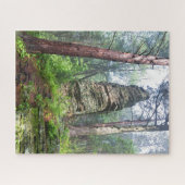 Castellated Mound in State Forest Legpuzzel (Horizontaal)