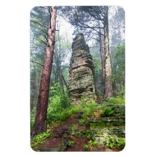Castellated Mound in State Forest Magneet