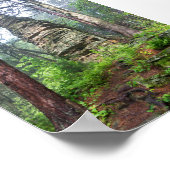 Castellated Mound in State Forest Poster (Hoek)