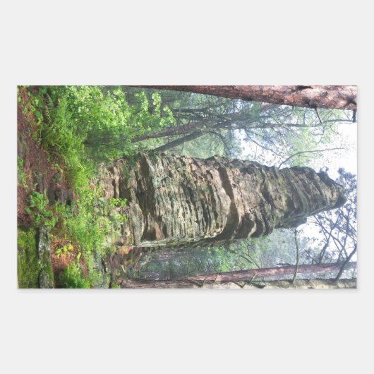 Castellated Mound in State Forest Rechthoekige Sticker (Voorkant)