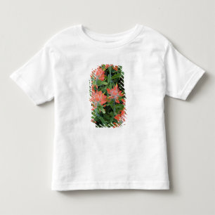 Castilleja-wildebloemen in de Many Kinder Shirts