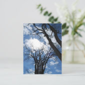 Castine Briefkaart - 2 (Staand voorkant)