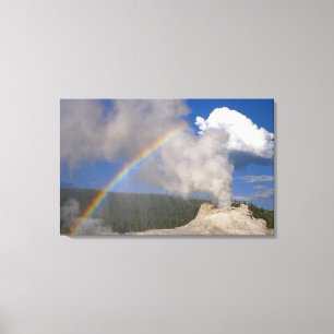 Castle Geyser met regenboog, Yellowstone National Canvas Afdruk