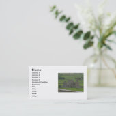 Castle Irlande Carte de visite (Debout devant)