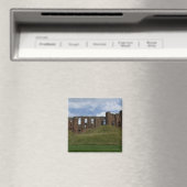 Castle Magnet Magneet (Insitu (Vaatwasser))