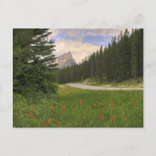 Castle Mountain Briefkaart