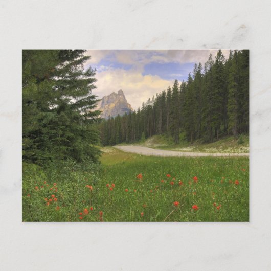 Castle Mountain Briefkaart (Voorkant)