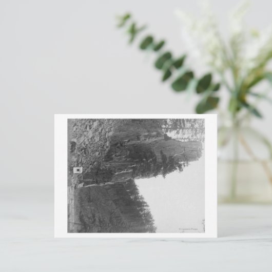 Castle Rock tussen Hill City en Rockerville Briefkaart (Staand voorkant)