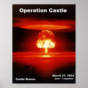 Castle_Romeo Poster