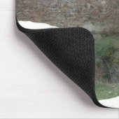 Castle Ruins Muismat (Hoek)