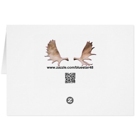 Castor de Havilland Floatplane - Alaska (Dos Horizontal)