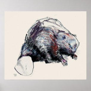 Castor Fiber 2001 Poster