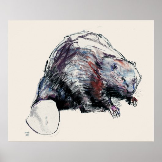 Castor Fiber 2001 Poster (Voorkant)