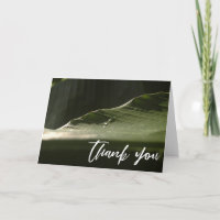 Casual handschrift Hartelijk dank, Banana Leaf Fot