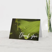 Casual handschrift Hartelijk dank, Banana Leaf Fot
