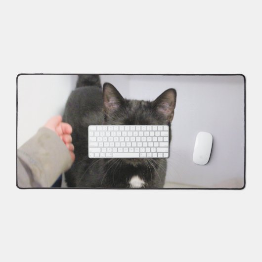 Cat (Clavier et souris)