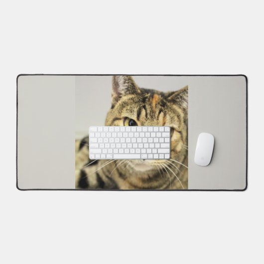Cat (Clavier et souris)