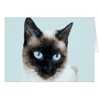 CAT 11