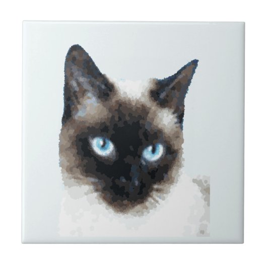 CAT 11 TEGELTJE (Voorkant)