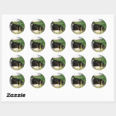 Cat 120 Bookplate~ autocollant (Feuille)
