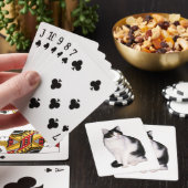Cat 12 Cartes de Jeu (In Situ)