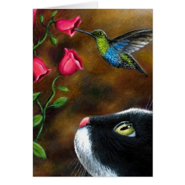 Cat 571 Tuxedo met Hummingbird (Voorkant)