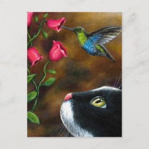 Cat 571 Tuxedo met Hummingbird Briefkaart