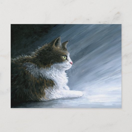 Cat. 594 briefkaart (Voorkant)