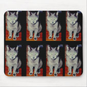 Cat #6, Mousepad Muismat (Voorkant)