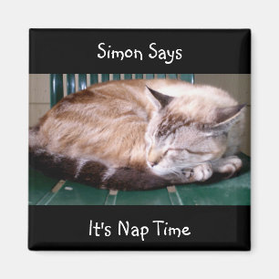 Cat 7, het is Nap Time, Simon Says, Magnet Magneet