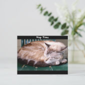 Cat 7, Heure Nap, Carte Postale (Debout devant)