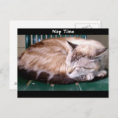 Cat 7, Heure Nap, Carte Postale (Devant / Derrière)