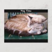Cat 7, Heure Nap, Carte Postale (Devant)