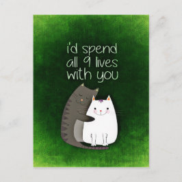 cat-859033.jpg briefkaart