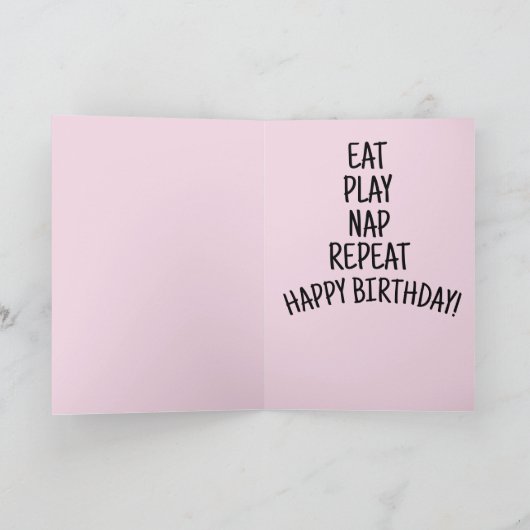 CAT ADVICE FUNNY PANDA KAT BIRTHDAY GREETING KAART (Binnen)