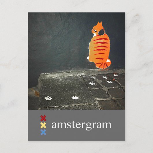 Cat Amsterdam Briefkaart (Voorkant)