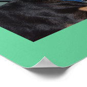 cat and dog friendship poster (Coin)