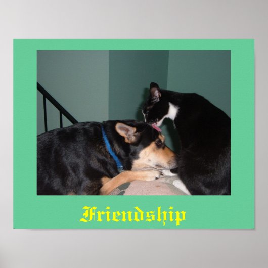cat and dog friendship poster (Devant)