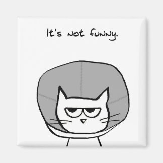 Cat and the Cone of Shame - Funny Cat Magnet Magneet