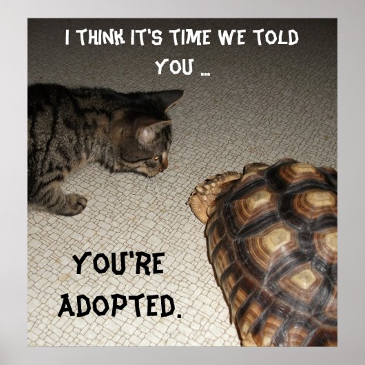 Cat and Tortoise - "Je bent geadopteerd" Poster (Voorkant)