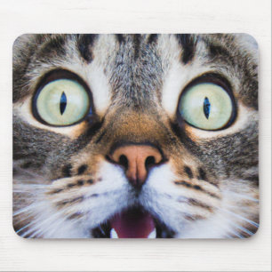 Cat Art   Verrassd Kat   Funny Kitten Mousepad Muismat