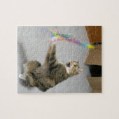 Cat attacks the teaser toy puzzle (Horizontal)